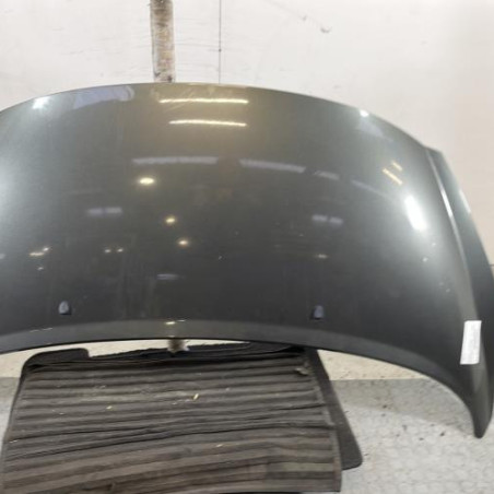 Capot PEUGEOT 207 Photo n°1