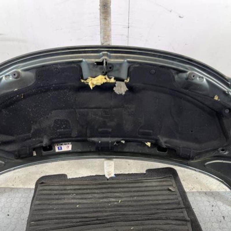 Capot PEUGEOT 207 Photo n°5