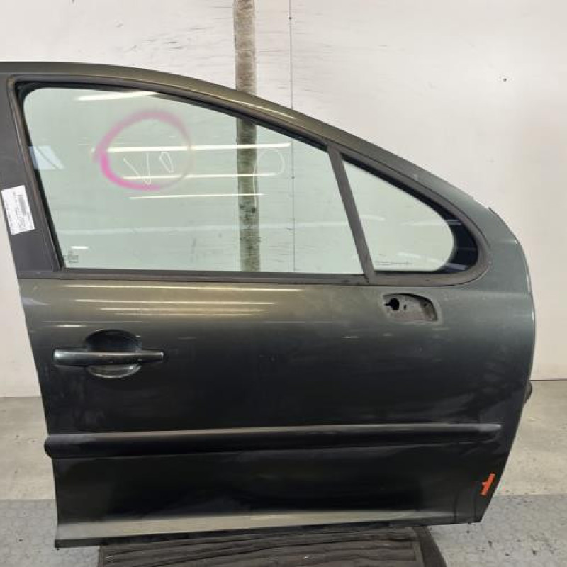 Porte avant droit PEUGEOT 207 Photo n°1