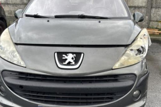 Porte avant droit PEUGEOT 207