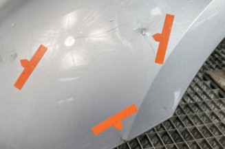 Aile avant gauche PEUGEOT 307