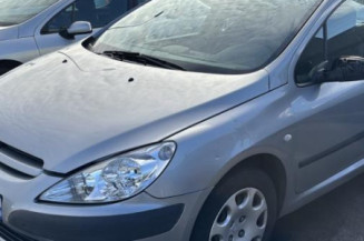 Aile avant gauche PEUGEOT 307