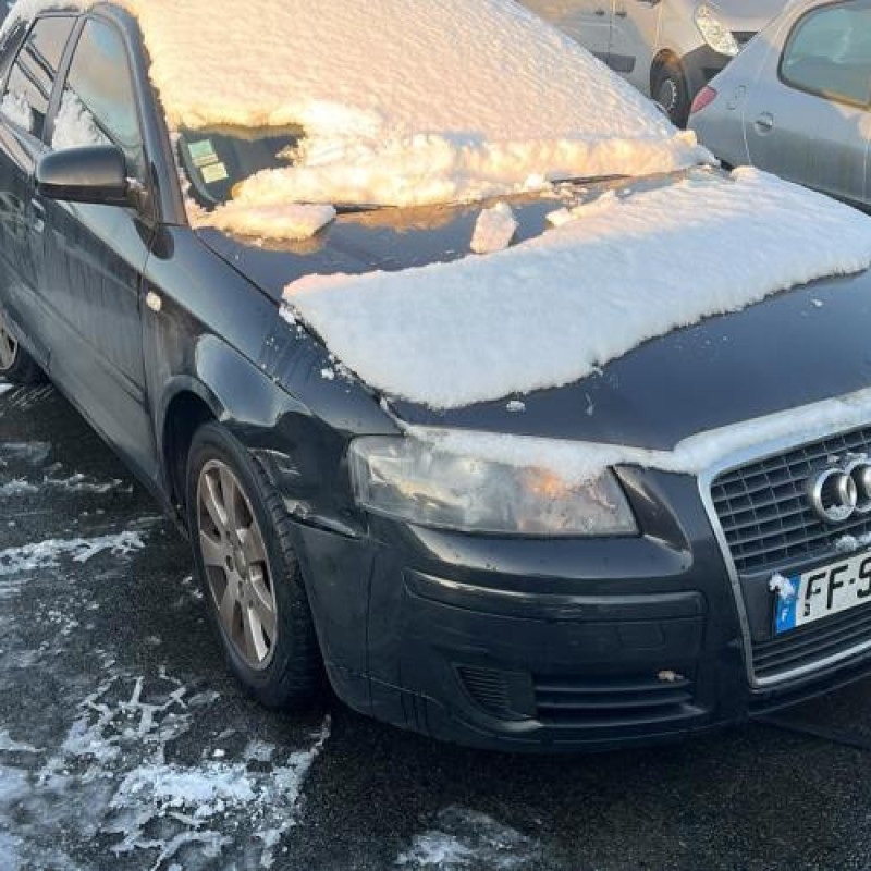 Porte avant droit AUDI A3 2 Photo n°14