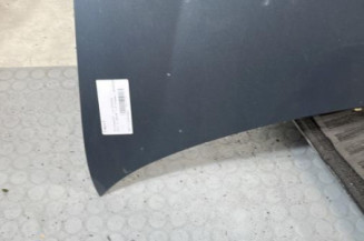 Capot VOLKSWAGEN GOLF 5