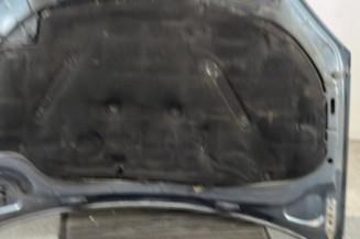 Capot VOLKSWAGEN GOLF 5