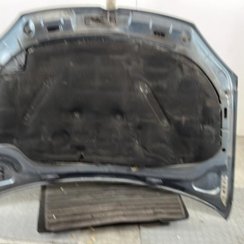 Capot VOLKSWAGEN GOLF 5 Photo n°6