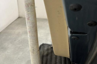 Porte arriere droit VOLKSWAGEN GOLF 5