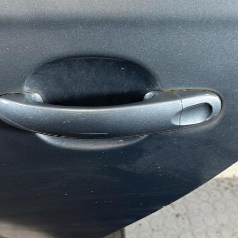 Porte arriere gauche VOLKSWAGEN GOLF 5 Photo n°2