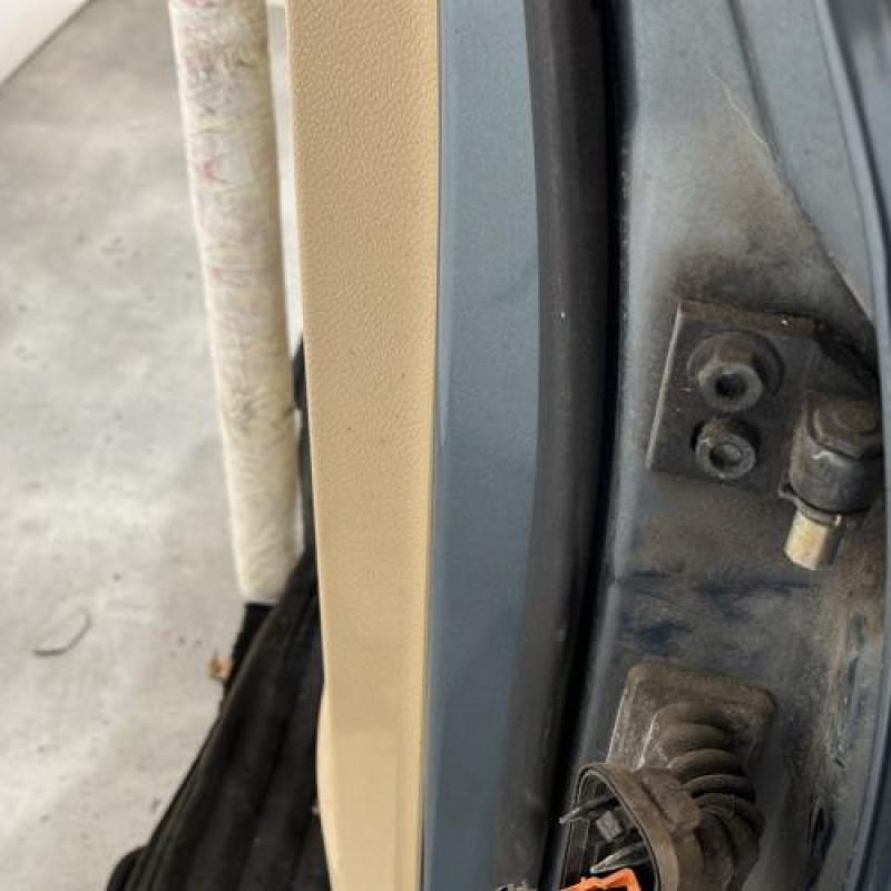 Porte arriere gauche VOLKSWAGEN GOLF 5 Photo n°4