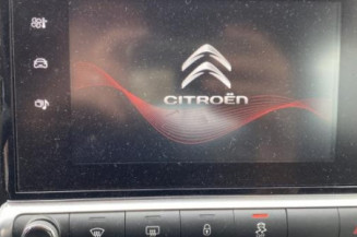 Porte arriere gauche CITROEN C4 CACTUS