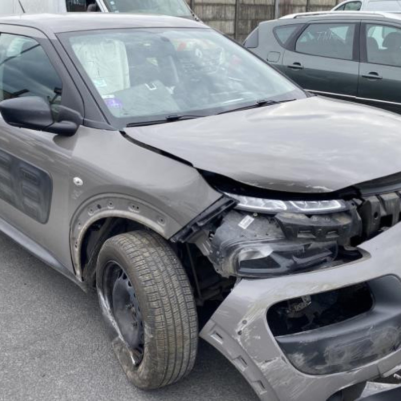 Porte avant droit CITROEN C4 CACTUS Photo n°9