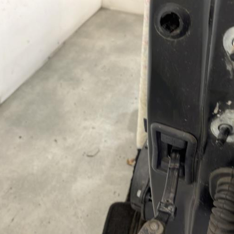 Porte avant gauche RENAULT TWINGO 3 Photo n°4