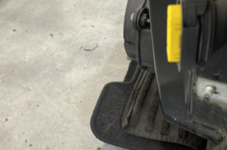 Porte avant gauche RENAULT TWINGO 3