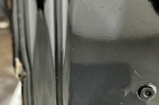 Porte avant gauche RENAULT TWINGO 3