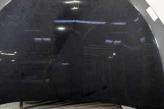 Capot RENAULT MEGANE 3 Photo n°1