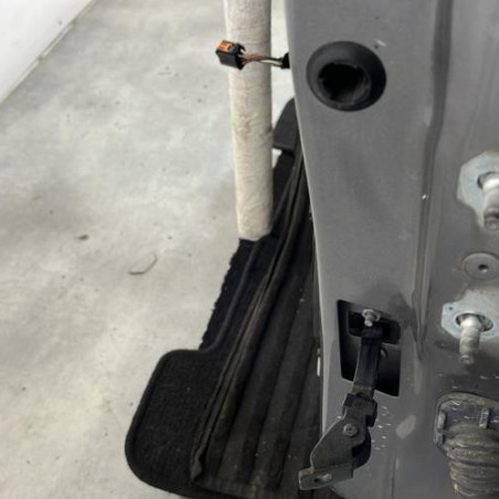 Porte avant gauche RENAULT CLIO 4