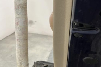 Porte arriere droit VOLKSWAGEN GOLF 4