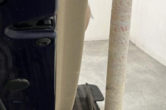 Porte arriere gauche VOLKSWAGEN GOLF 4