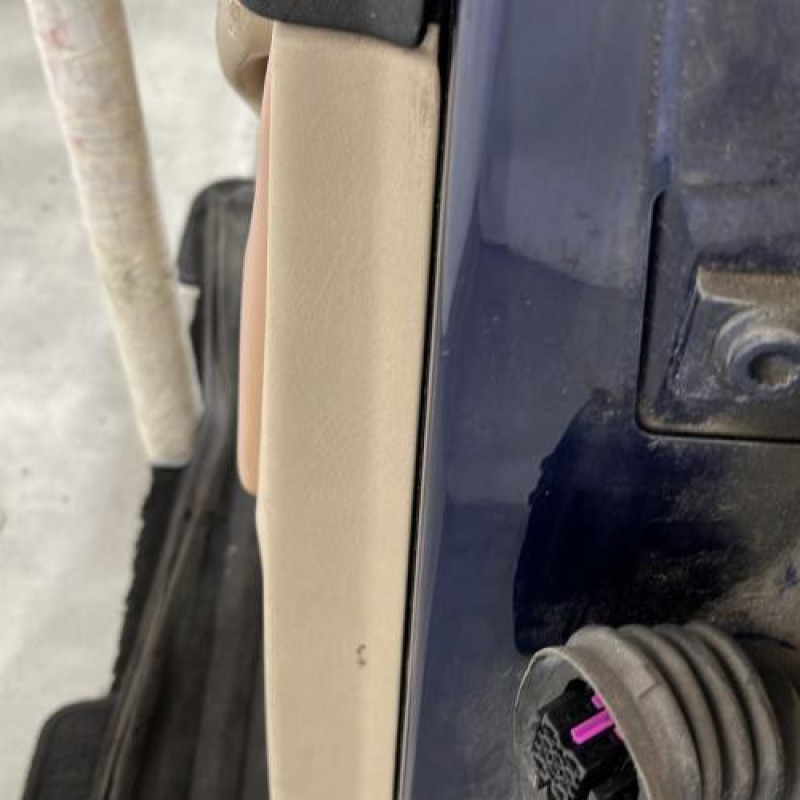 Porte arriere gauche VOLKSWAGEN GOLF 4 Photo n°4