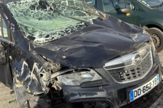 Custode arriere gauche (porte) OPEL MOKKA 1