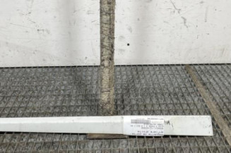 Baguette de porte arriere droite RENAULT CLIO 3 Photo n°1