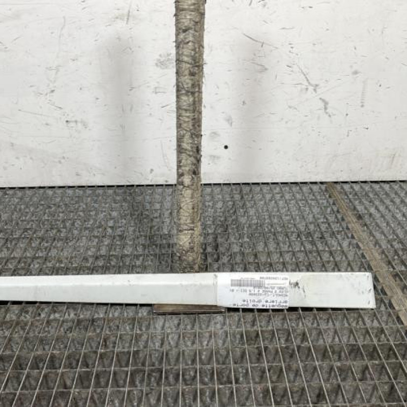 Baguette de porte arriere droite RENAULT CLIO 3 Photo n°1