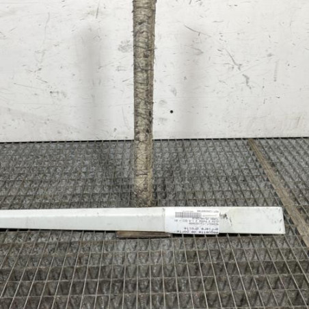 Baguette de porte arriere droite RENAULT CLIO 3 Photo n°1