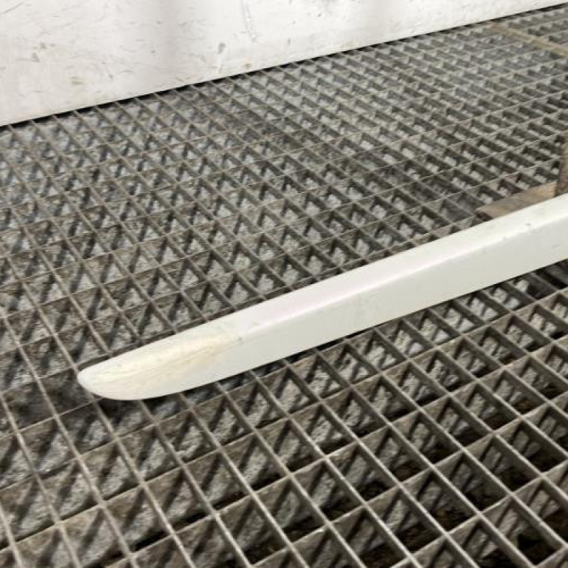 Baguette de porte arriere droite RENAULT CLIO 3 Photo n°2