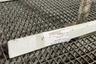 Baguette de porte arriere gauche  RENAULT CLIO 3