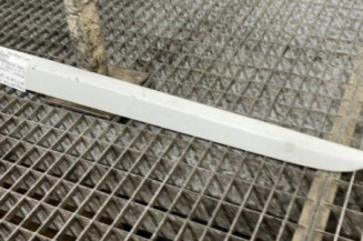 Baguette de porte arriere gauche  RENAULT CLIO 3