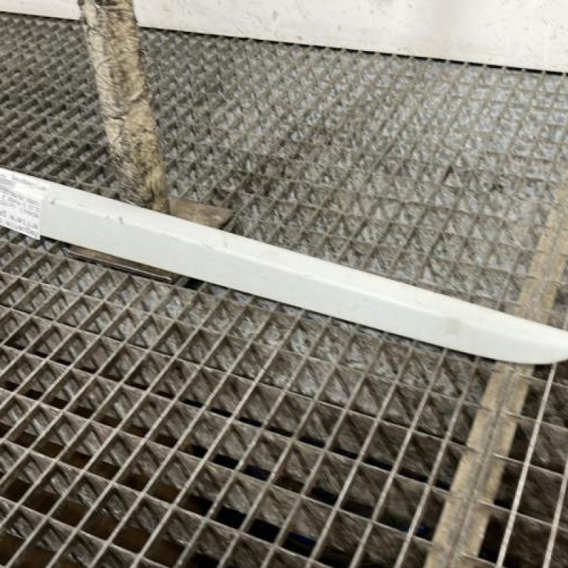 Baguette de porte arriere gauche  RENAULT CLIO 3 Photo n°3