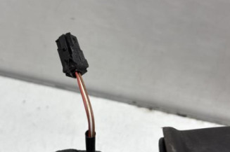 Retroviseur gauche CITROEN C3 1