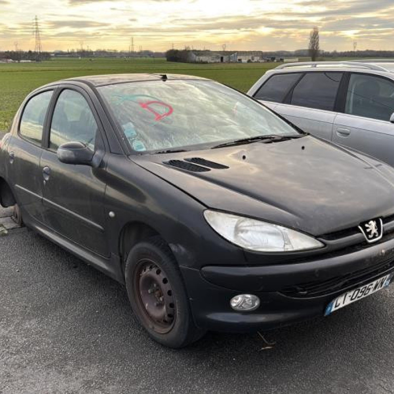 Calandre PEUGEOT 206 Photo n°6