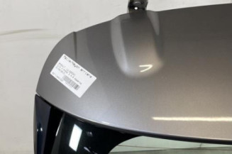 Malle/Hayon arriere RENAULT CLIO 4