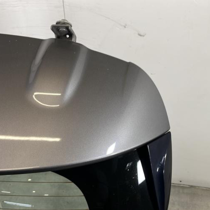 Malle/Hayon arriere RENAULT CLIO 4 Photo n°3