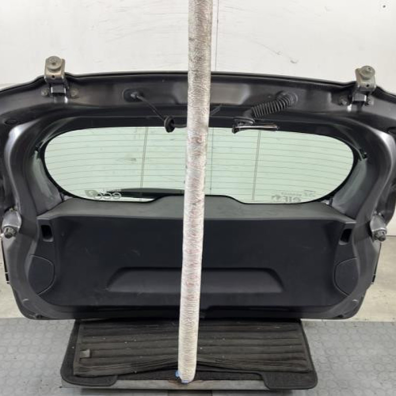 Malle/Hayon arriere RENAULT CLIO 4 Photo n°6