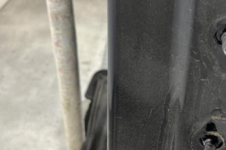 Porte arriere gauche RENAULT TWINGO 3