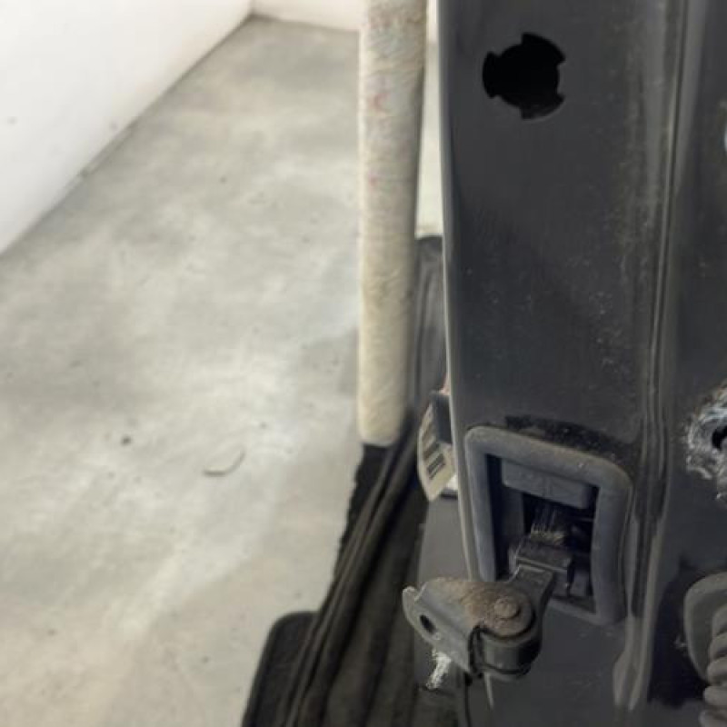 Porte avant gauche RENAULT TWINGO 3 Photo n°2