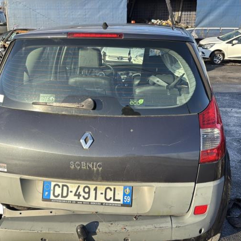 Custode arriere gauche RENAULT SCENIC 2 Photo n°10