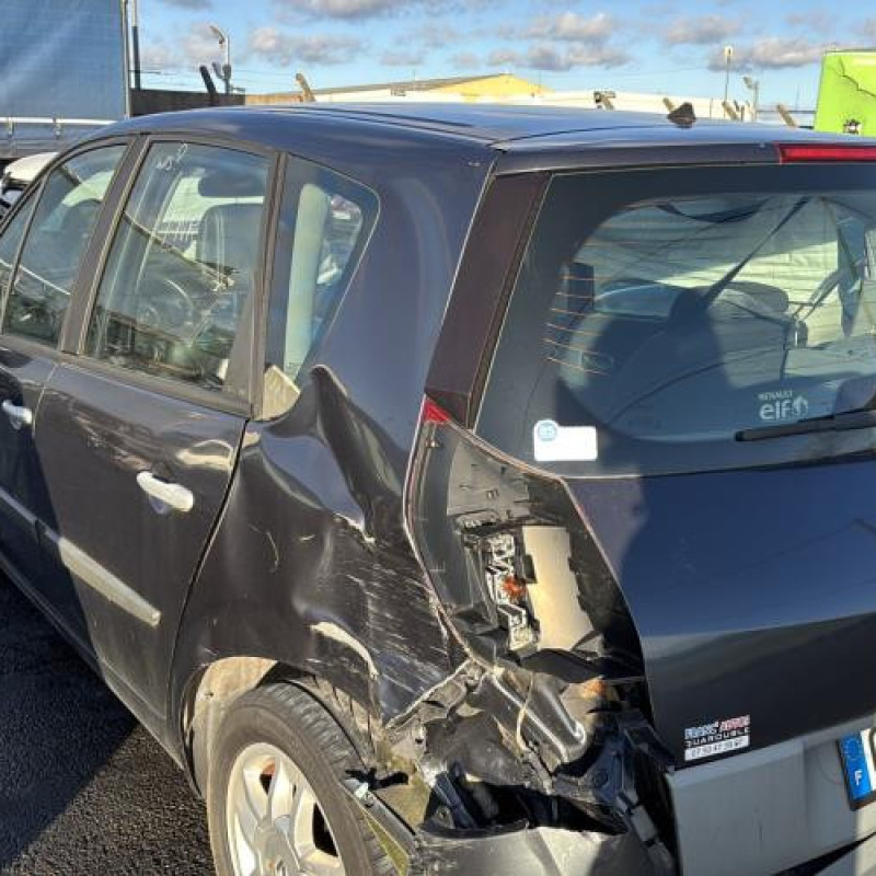 Custode arriere gauche RENAULT SCENIC 2 Photo n°11