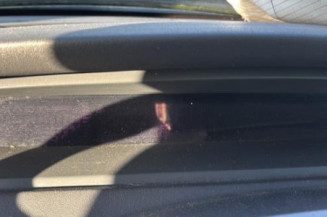 Custode arriere gauche RENAULT SCENIC 2