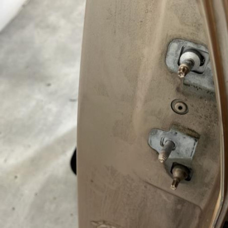 Porte arriere gauche RENAULT MODUS