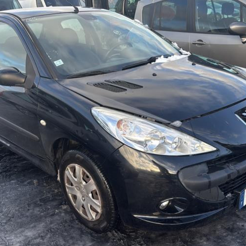 Feu arriere principal gauche (feux) PEUGEOT 206+ Photo n°9