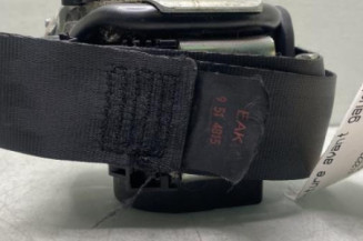 Pretensionneur de ceinture avant gauche PEUGEOT 206+