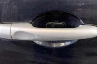 Porte arriere droit RENAULT MEGANE 3