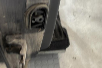 Porte arriere droit RENAULT MEGANE 3