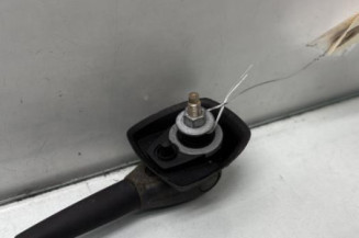 Antenne CITROEN SAXO