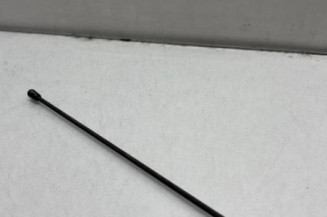 Antenne CITROEN SAXO