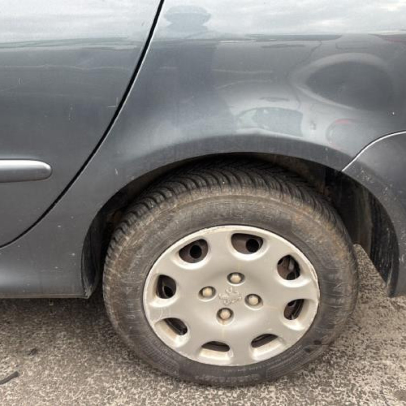 Feu arriere principal gauche (feux) PEUGEOT 206 Photo n°19