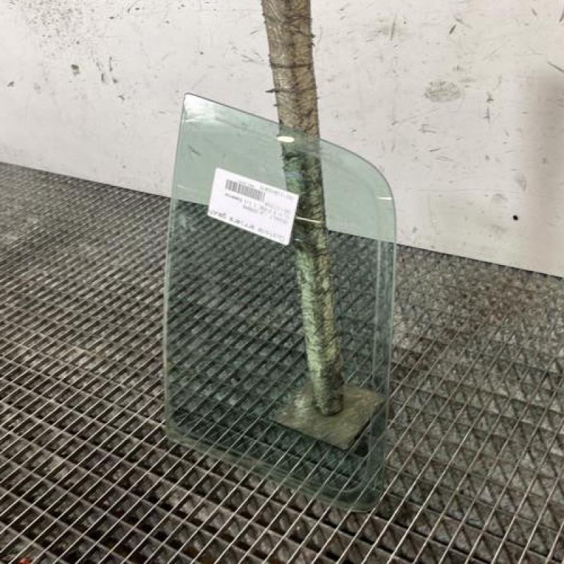 Custode arriere gauche (porte) RENAULT CLIO 2 Photo n°3